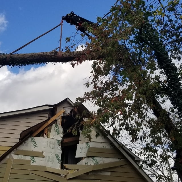 Crane suspending a storm-fallen tree trunk above a damaged roof during emergency removal
