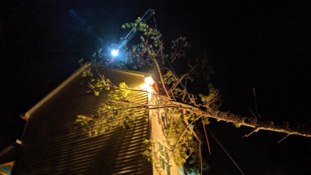 Emergency Tree Removal in Louisiana