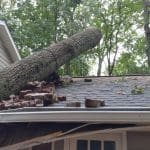 Tree Service Insurance in Atlanta