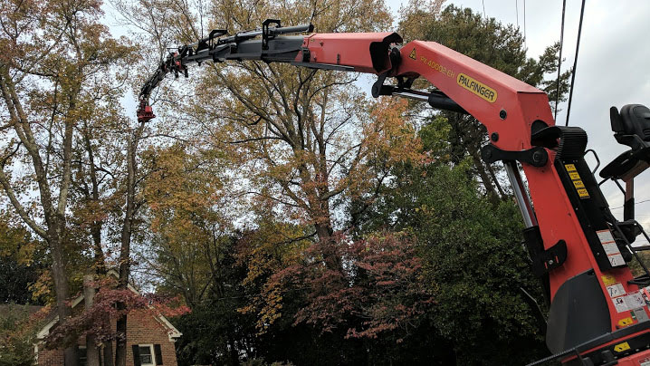 crane-1