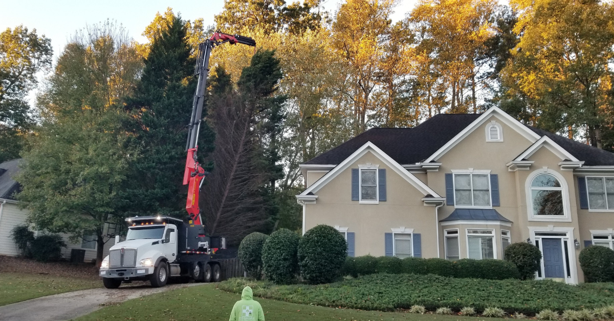 770 Arborist Emergency Tree & Crane Service work site