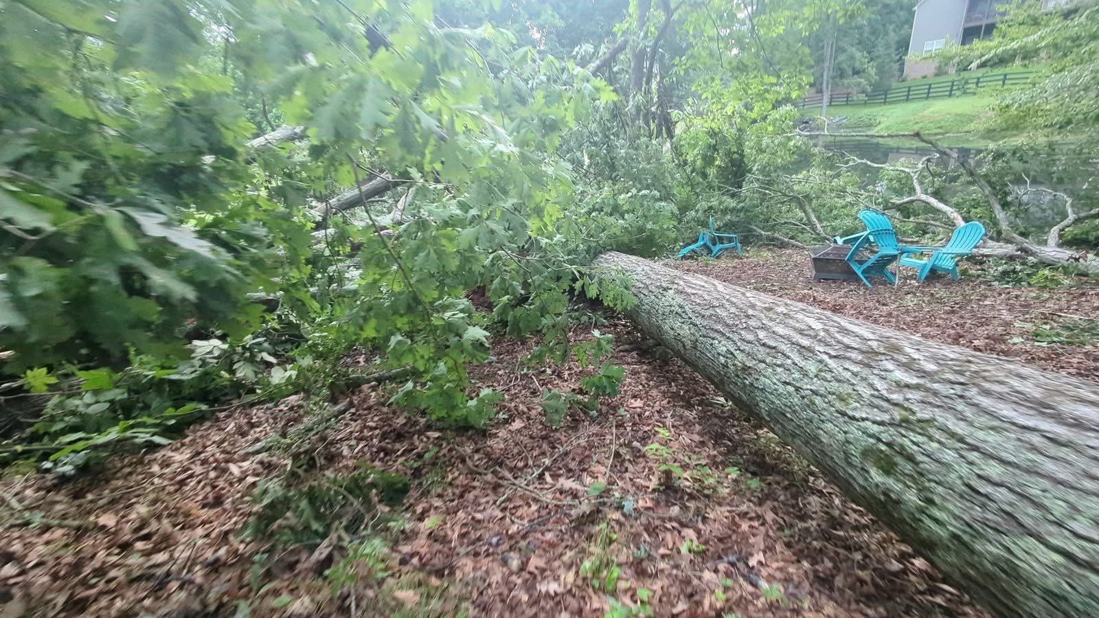 Storm-fallen oak lying across a backyard next to fire pit chairs in Cumming GA, June 2025
