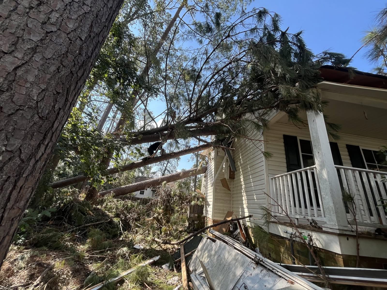 Storm-fallen pines crushing the corner of a house's front porch before removal
