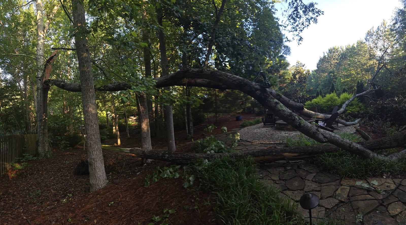 Panorama of a storm-fallen tree spanning a backyard in Powder Springs GA, June 2025
