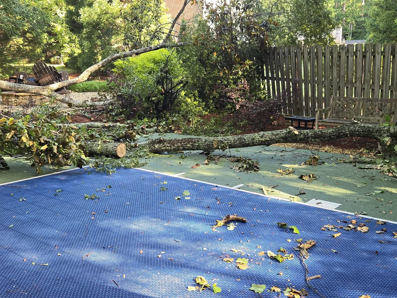 Storm-fallen tree lying across a backyard sport court in Powder Springs GA, June 2025
