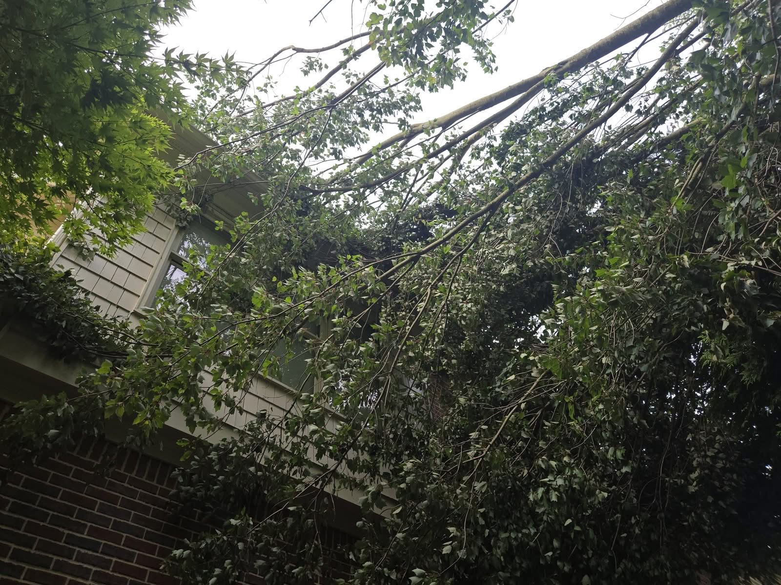 Fallen tree limbs resting against the side of a two-story house in Smyrna GA, June 2025