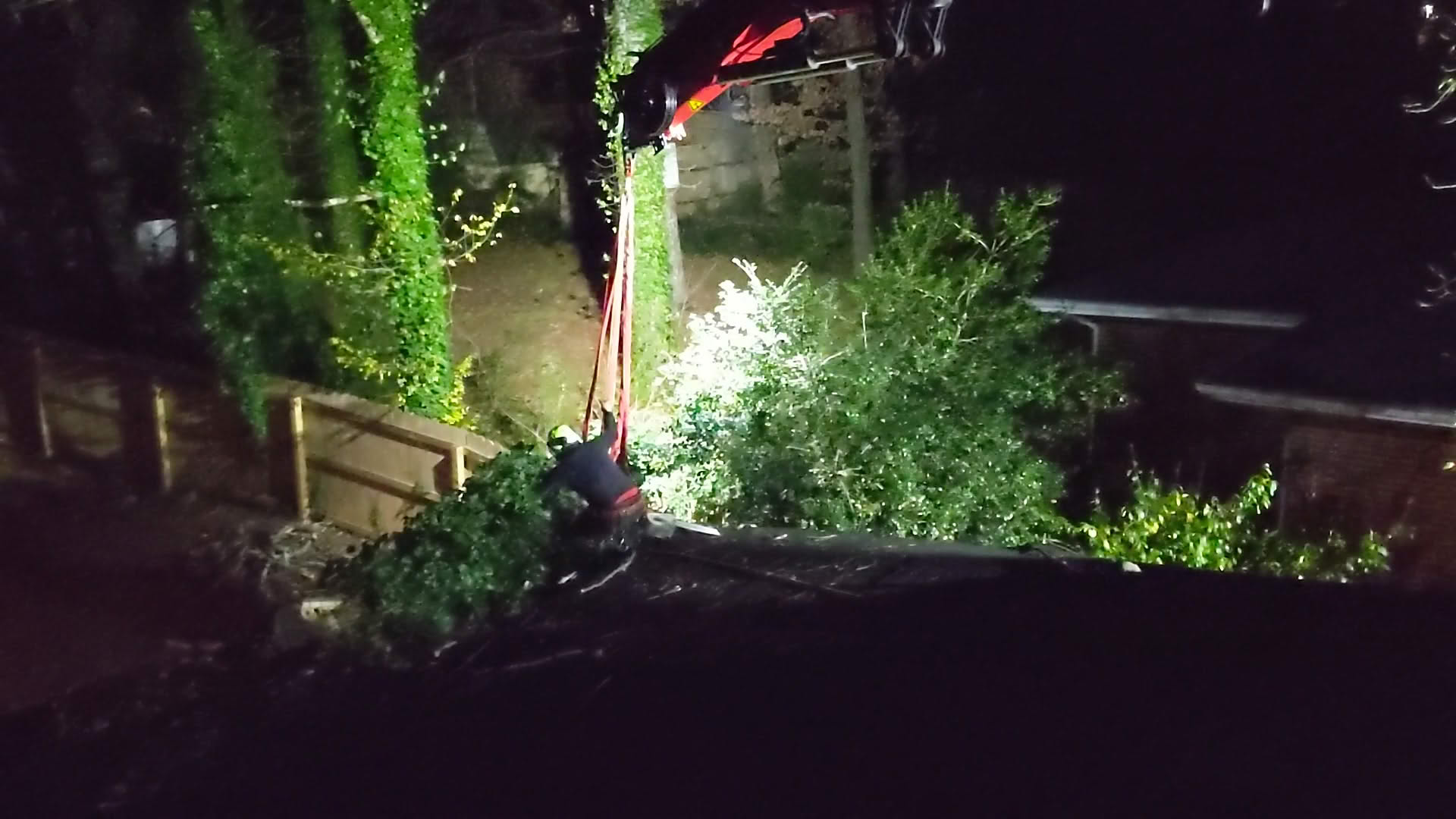 Arborist crew removing a storm-damaged tree at night